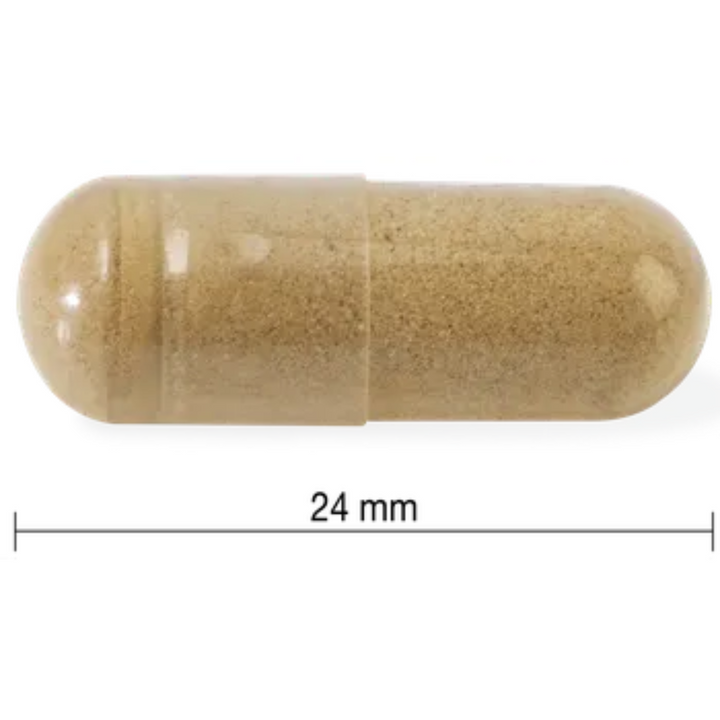 Jamieson ashwagandha 6000mg